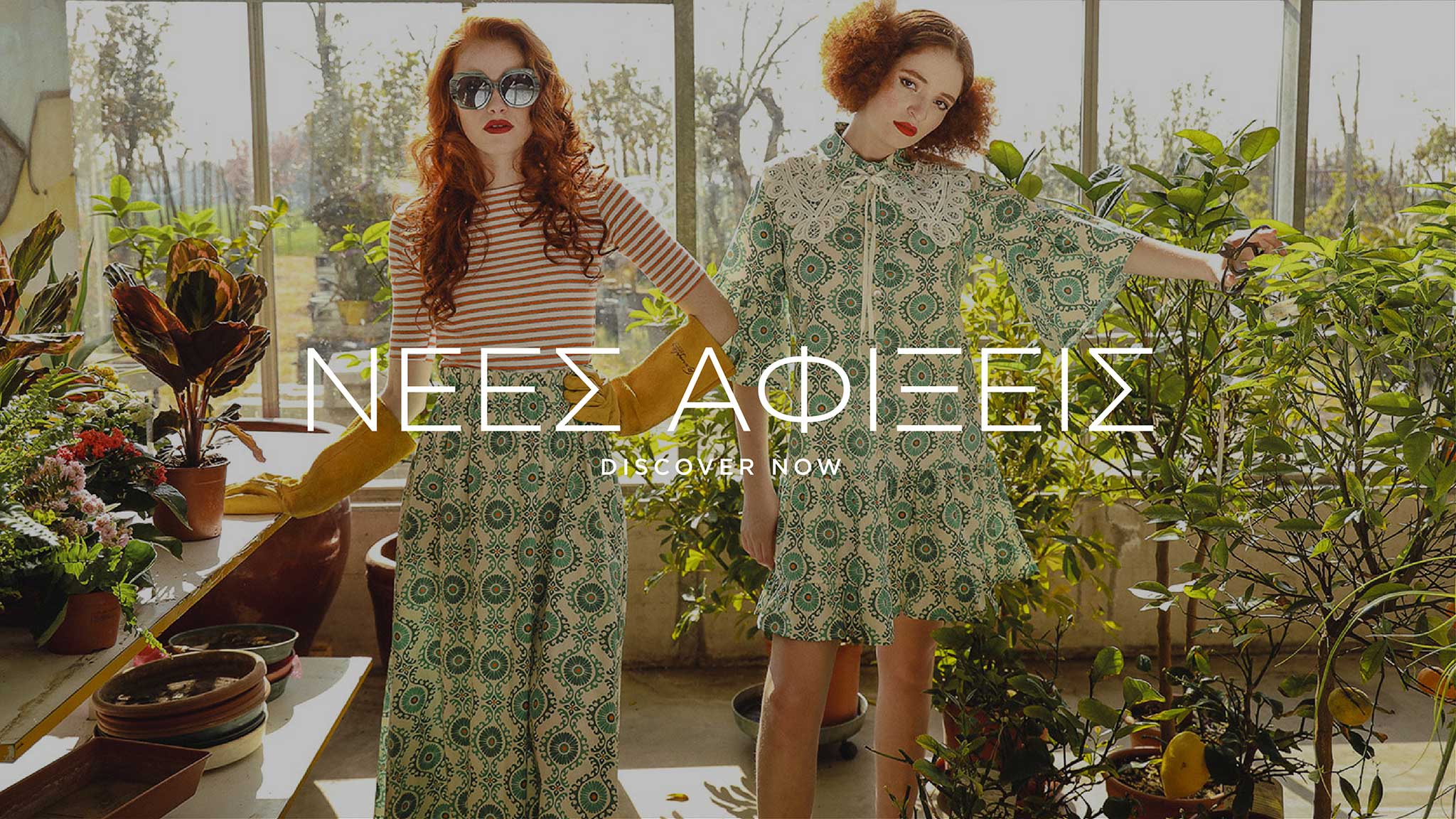 nees-afikseis